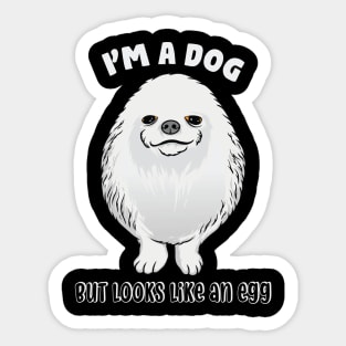 funny pomeranian memes Sticker